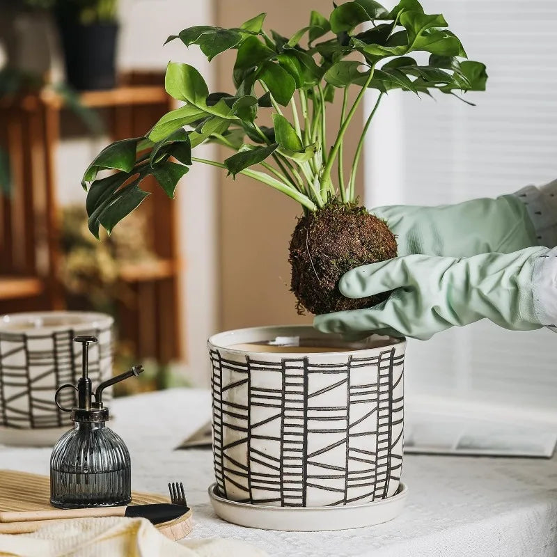 Ceramic Planter Pot with Drainage Hole & Saucer