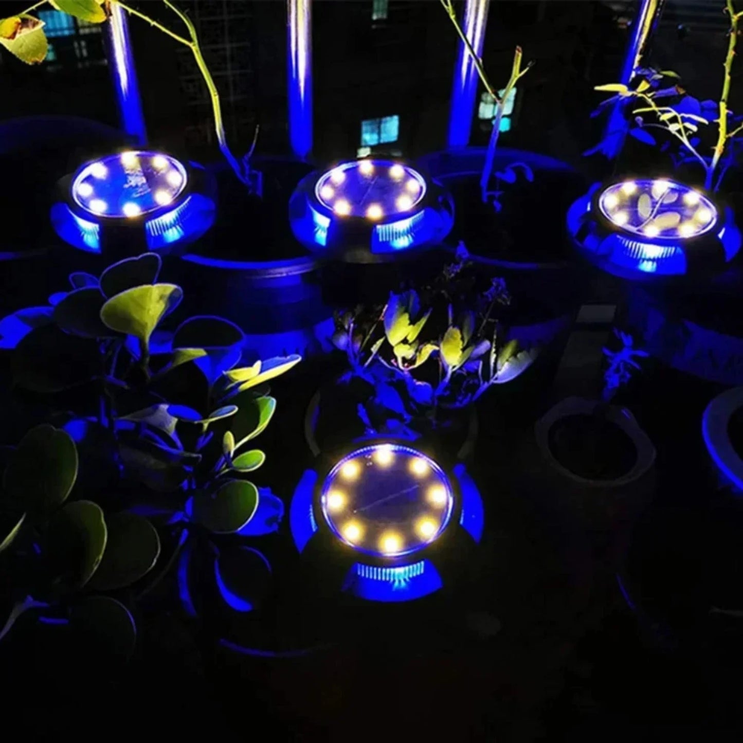 Energy-saving, Bright 12 LED Solar-Powered Disk Light